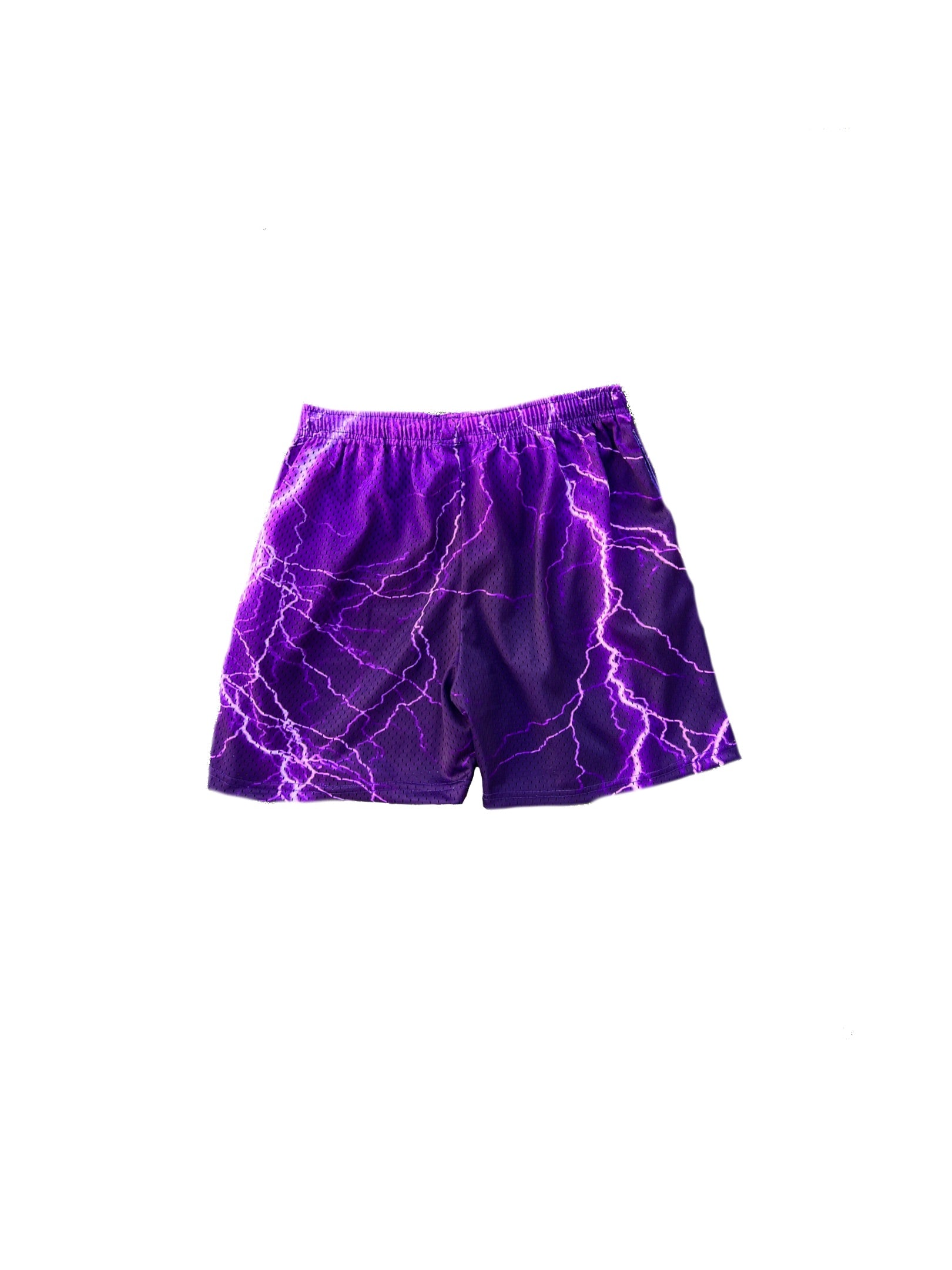 V2 Storm Shorts (Purple)